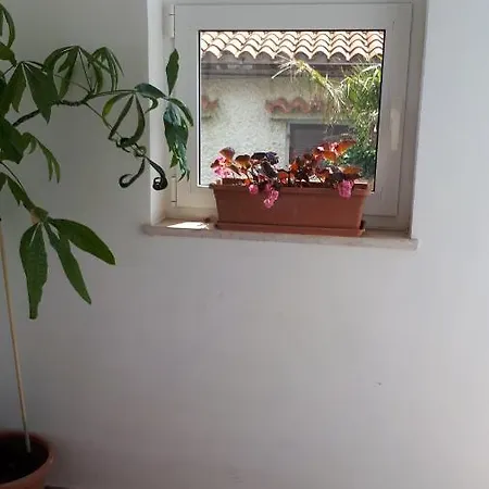 Lara Apartment